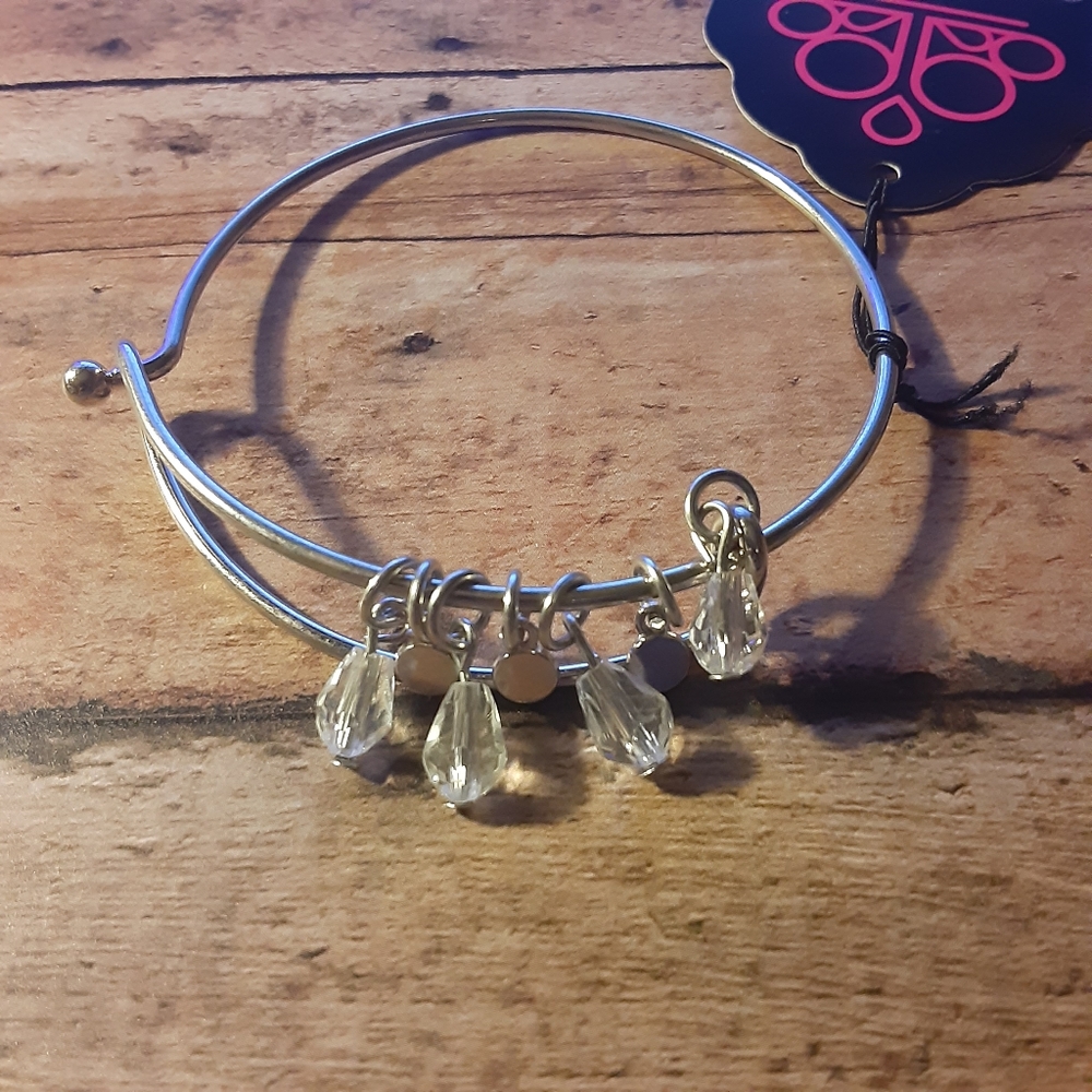 Vintage Paparazzi Silver Stackable Bracelet